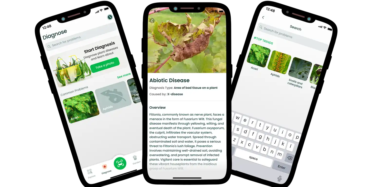 A screen from the AI Plant Finder app.